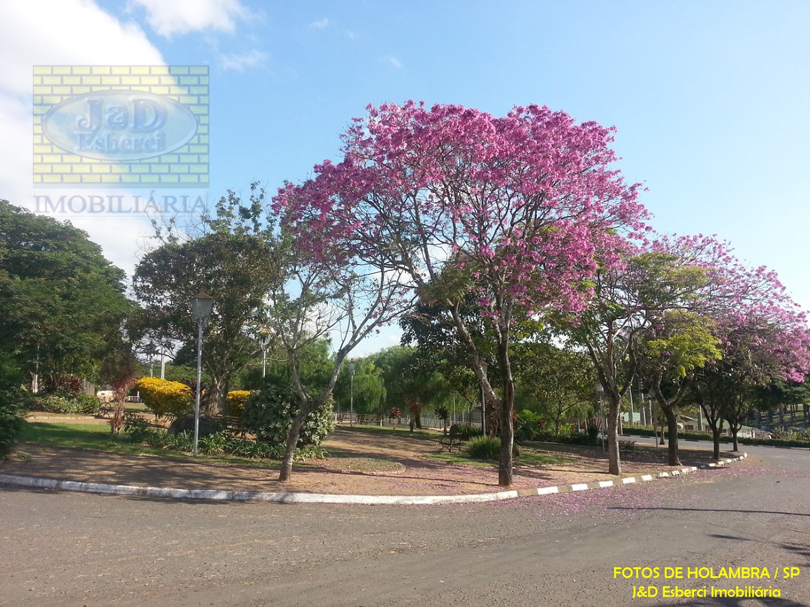 Terreno à venda, 202m² - Foto 16