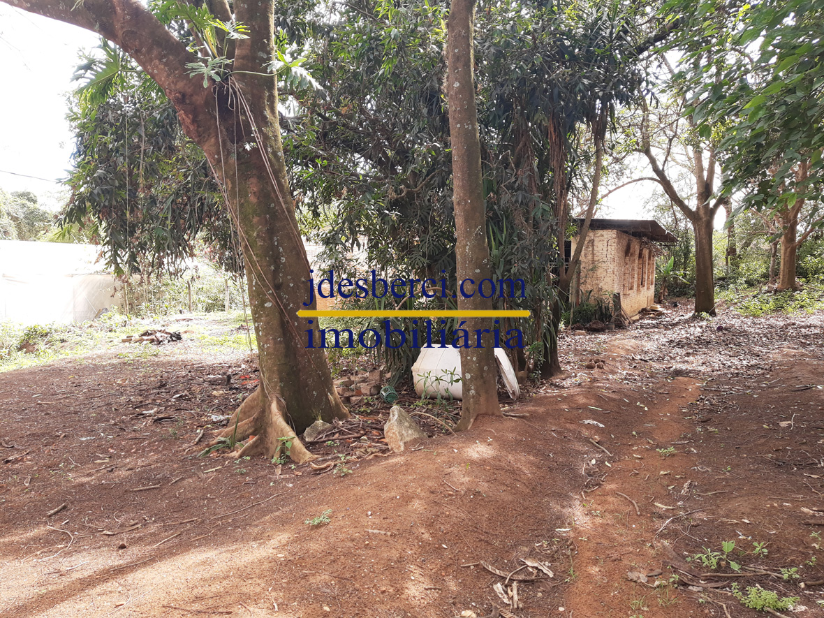 Fazenda à venda com 5 quartos, 180m² - Foto 10