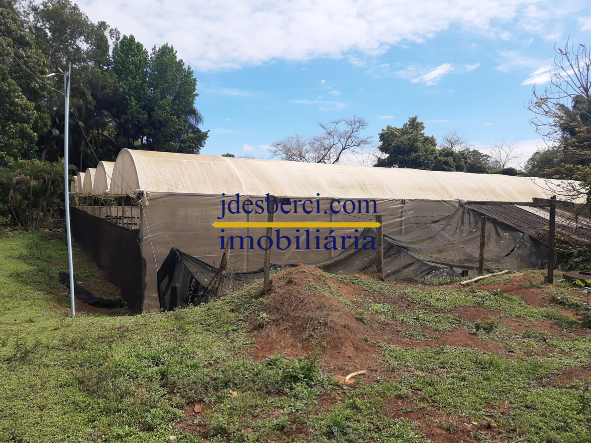 Fazenda à venda com 5 quartos, 180m² - Foto 17