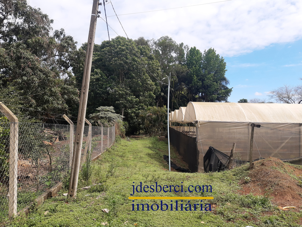 Fazenda à venda com 5 quartos, 180m² - Foto 18